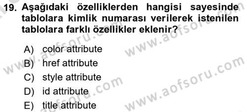 Web Tabanlı Kodlama Dersi 2024 - 2025 Yılı (Vize) Ara Sınav Soruları 19. Soru