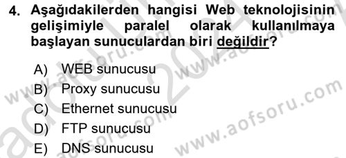 Web Tabanlı Kodlama Dersi 2024 - 2025 Yılı (Vize) Ara Sınav Soruları 4. Soru