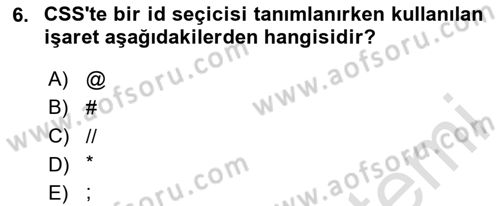 Web Tabanlı Kodlama Dersi 2024 - 2025 Yılı (Vize) Ara Sınav Soruları 6. Soru