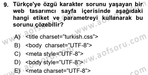 Web Tabanlı Kodlama Dersi 2024 - 2025 Yılı (Vize) Ara Sınav Soruları 9. Soru