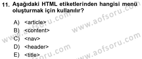 Web Tabanlı Kodlama Dersi 2024 - 2025 Yılı (Final) Dönem Sonu Sınav Soruları 11. Soru