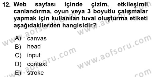 Web Tabanlı Kodlama Dersi 2024 - 2025 Yılı (Final) Dönem Sonu Sınav Soruları 12. Soru
