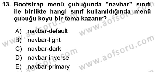 Web Tabanlı Kodlama Dersi 2024 - 2025 Yılı (Final) Dönem Sonu Sınav Soruları 13. Soru
