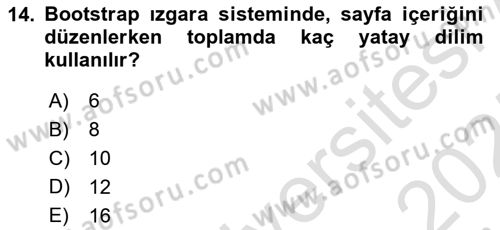 Web Tabanlı Kodlama Dersi 2024 - 2025 Yılı (Final) Dönem Sonu Sınav Soruları 14. Soru
