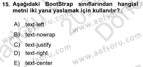 Web Tabanlı Kodlama Dersi 2024 - 2025 Yılı (Final) Dönem Sonu Sınav Soruları 15. Soru
