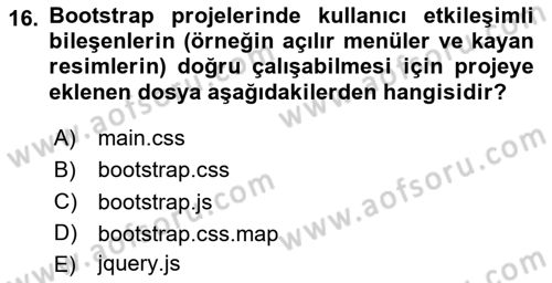 Web Tabanlı Kodlama Dersi 2024 - 2025 Yılı (Final) Dönem Sonu Sınav Soruları 16. Soru