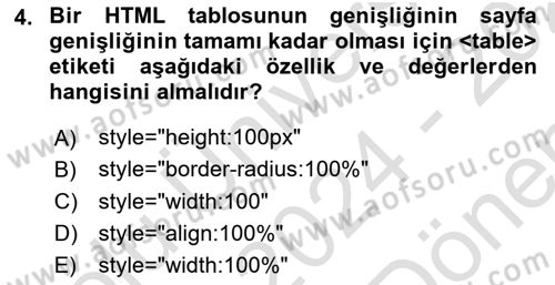 Web Tabanlı Kodlama Dersi 2024 - 2025 Yılı (Final) Dönem Sonu Sınav Soruları 4. Soru