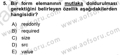 Web Tabanlı Kodlama Dersi 2024 - 2025 Yılı (Final) Dönem Sonu Sınav Soruları 5. Soru