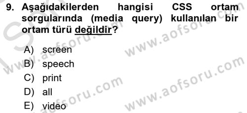 Web Tabanlı Kodlama Dersi 2024 - 2025 Yılı (Final) Dönem Sonu Sınav Soruları 9. Soru