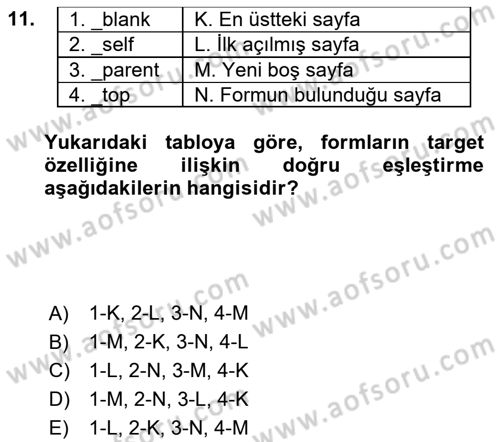 Web Tabanlı Kodlama Dersi 2024 - 2025 Yılı Yaz Okulu Sınav Soruları 11. Soru