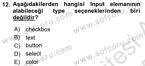 Web Tabanlı Kodlama Dersi 2024 - 2025 Yılı Yaz Okulu Sınav Soruları 12. Soru