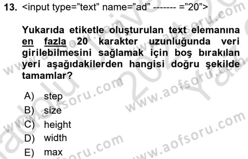 Web Tabanlı Kodlama Dersi 2024 - 2025 Yılı Yaz Okulu Sınav Soruları 13. Soru