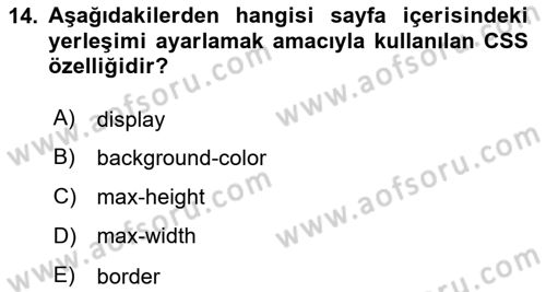 Web Tabanlı Kodlama Dersi 2024 - 2025 Yılı Yaz Okulu Sınav Soruları 14. Soru