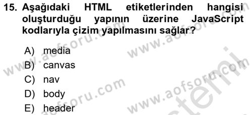 Web Tabanlı Kodlama Dersi 2024 - 2025 Yılı Yaz Okulu Sınav Soruları 15. Soru