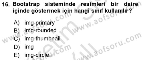 Web Tabanlı Kodlama Dersi 2024 - 2025 Yılı Yaz Okulu Sınav Soruları 16. Soru