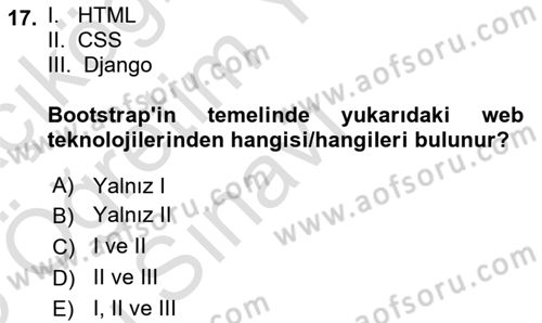 Web Tabanlı Kodlama Dersi 2024 - 2025 Yılı Yaz Okulu Sınav Soruları 17. Soru