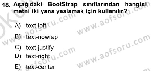 Web Tabanlı Kodlama Dersi 2024 - 2025 Yılı Yaz Okulu Sınav Soruları 18. Soru