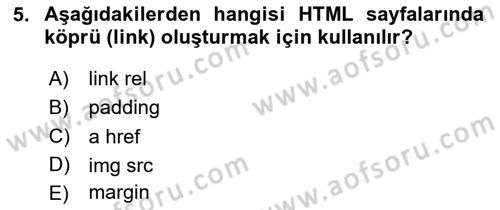 Web Tabanlı Kodlama Dersi 2024 - 2025 Yılı Yaz Okulu Sınav Soruları 5. Soru