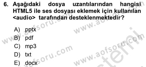 Web Tabanlı Kodlama Dersi 2024 - 2025 Yılı Yaz Okulu Sınav Soruları 6. Soru