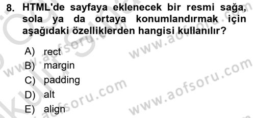 Web Tabanlı Kodlama Dersi 2024 - 2025 Yılı Yaz Okulu Sınav Soruları 8. Soru