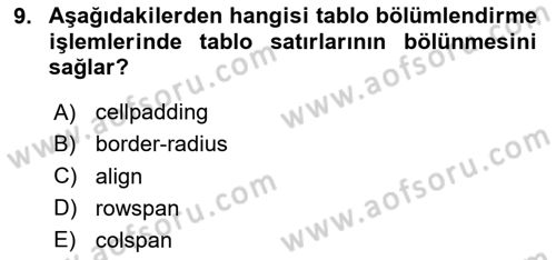 Web Tabanlı Kodlama Dersi 2024 - 2025 Yılı Yaz Okulu Sınav Soruları 9. Soru