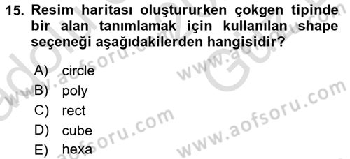 Web Tabanlı Kodlama Dersi 2025 - 2026 Yılı (Vize) Ara Sınav Soruları 15. Soru