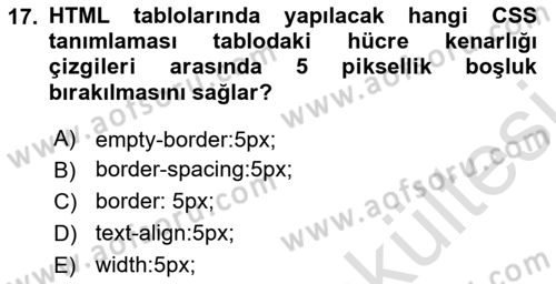 Web Tabanlı Kodlama Dersi 2025 - 2026 Yılı (Vize) Ara Sınav Soruları 17. Soru