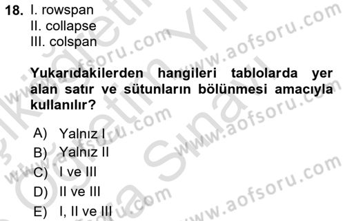 Web Tabanlı Kodlama Dersi 2025 - 2026 Yılı (Vize) Ara Sınav Soruları 18. Soru