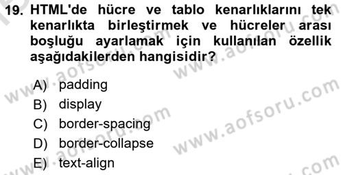Web Tabanlı Kodlama Dersi 2025 - 2026 Yılı (Vize) Ara Sınav Soruları 19. Soru