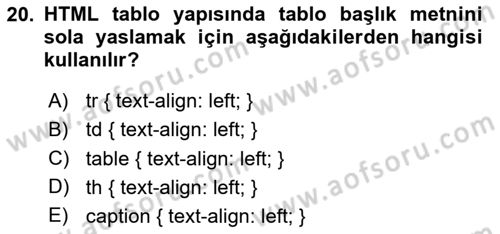 Web Tabanlı Kodlama Dersi 2025 - 2026 Yılı (Vize) Ara Sınav Soruları 20. Soru