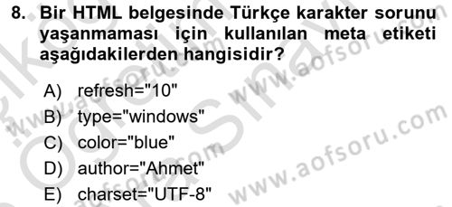 Web Tabanlı Kodlama Dersi 2025 - 2026 Yılı (Vize) Ara Sınav Soruları 8. Soru