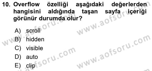 Web Tabanlı Kodlama Dersi 2025 - 2026 Yılı (Final) Dönem Sonu Sınav Soruları 10. Soru