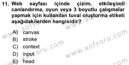 Web Tabanlı Kodlama Dersi 2025 - 2026 Yılı (Final) Dönem Sonu Sınav Soruları 11. Soru