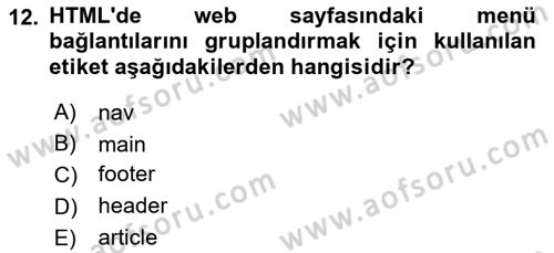 Web Tabanlı Kodlama Dersi 2025 - 2026 Yılı (Final) Dönem Sonu Sınav Soruları 12. Soru