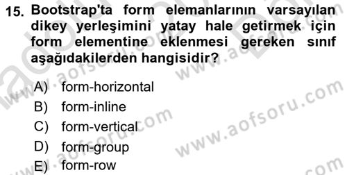 Web Tabanlı Kodlama Dersi 2025 - 2026 Yılı (Final) Dönem Sonu Sınav Soruları 15. Soru