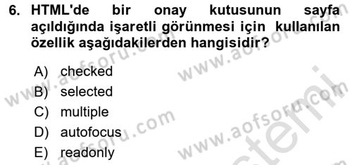 Web Tabanlı Kodlama Dersi 2025 - 2026 Yılı (Final) Dönem Sonu Sınav Soruları 6. Soru