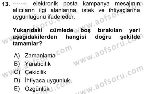 Web Tasarımı Satış ve Pazarlama Dersi 2018 - 2019 Yılı Yaz Okulu Sınav Soruları 13. Soru