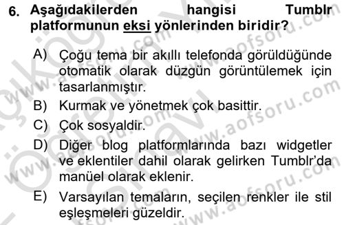 Web Tasarımı Satış ve Pazarlama Dersi 2021 - 2022 Yılı Yaz Okulu Sınav Soruları 6. Soru