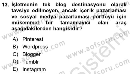 Web Tasarımı Satış ve Pazarlama Dersi 2023 - 2024 Yılı (Vize) Ara Sınav Soruları 13. Soru