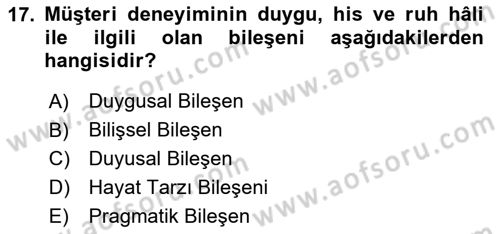 Web Tasarımı Satış ve Pazarlama Dersi 2023 - 2024 Yılı (Vize) Ara Sınav Soruları 17. Soru
