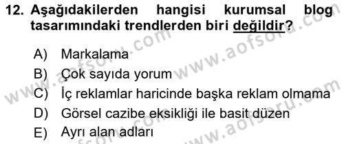 Web Tasarımı Satış ve Pazarlama Dersi 2024 - 2025 Yılı (Vize) Ara Sınav Soruları 12. Soru