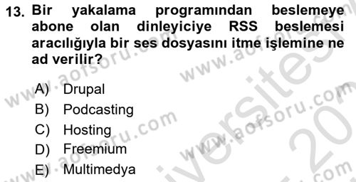 Web Tasarımı Satış ve Pazarlama Dersi 2024 - 2025 Yılı (Vize) Ara Sınav Soruları 13. Soru