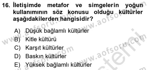Web Tasarımı Satış ve Pazarlama Dersi 2024 - 2025 Yılı (Vize) Ara Sınav Soruları 16. Soru