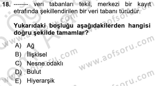 Web Tasarımı Satış ve Pazarlama Dersi 2024 - 2025 Yılı (Vize) Ara Sınav Soruları 18. Soru