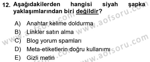 Web Tasarımı Satış ve Pazarlama Dersi 2024 - 2025 Yılı (Final) Dönem Sonu Sınav Soruları 12. Soru