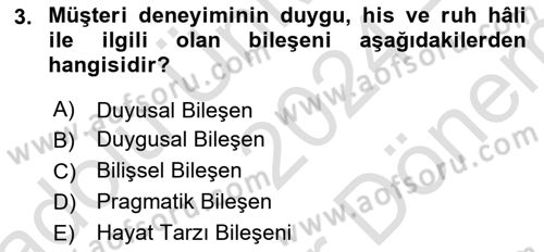 Web Tasarımı Satış ve Pazarlama Dersi 2024 - 2025 Yılı (Final) Dönem Sonu Sınav Soruları 3. Soru