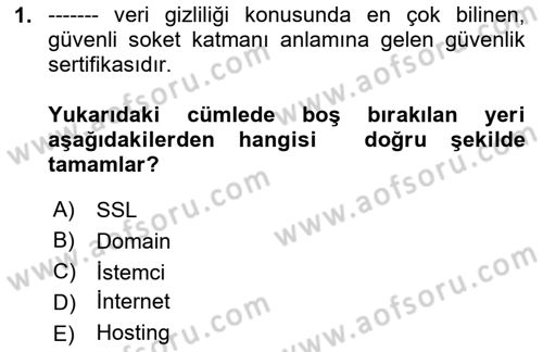 Web Tasarımı Satış ve Pazarlama Dersi 2024 - 2025 Yılı Yaz Okulu Sınav Soruları 1. Soru