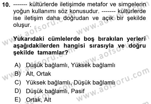 Web Tasarımı Satış ve Pazarlama Dersi 2024 - 2025 Yılı Yaz Okulu Sınav Soruları 10. Soru