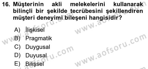 Web Tasarımı Satış ve Pazarlama Dersi 2025 - 2026 Yılı (Vize) Ara Sınav Soruları 16. Soru