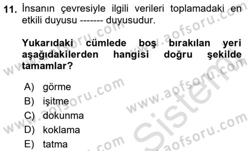 Görsel Web Tasarımı Dersi Ara Sınavı Deneme Sınav Soruları 11. Soru